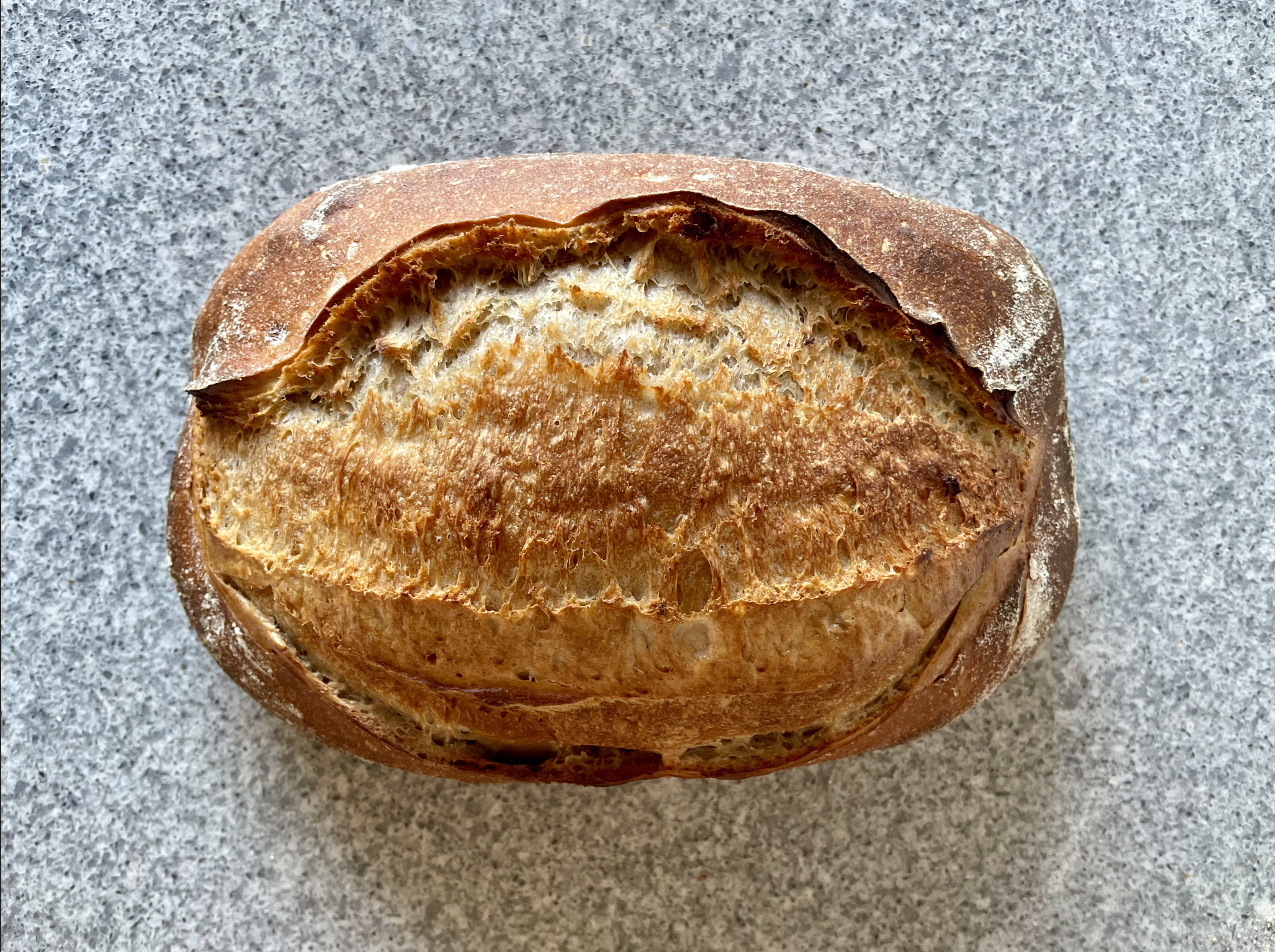 Begynder Surdejsbrød