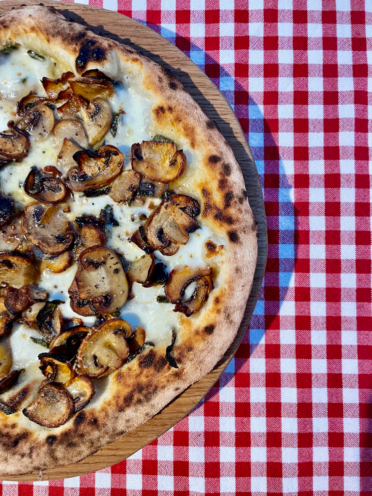 Surdejs pizza the mushroom